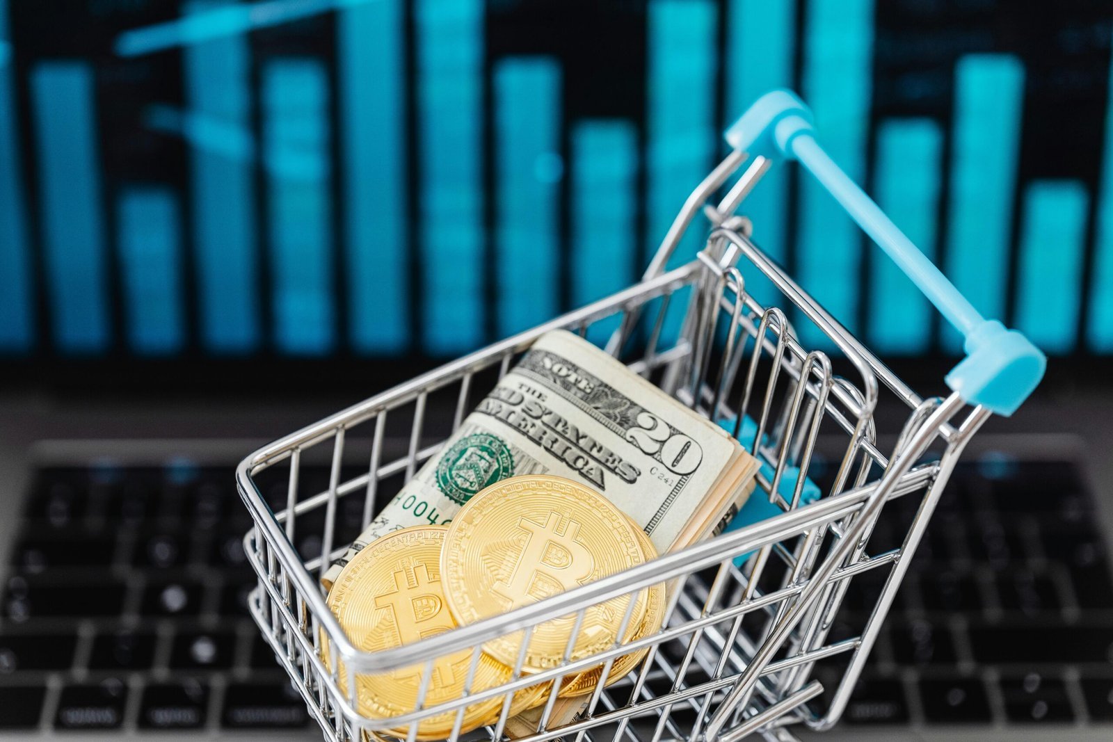 E-Commerce & Digital Branding